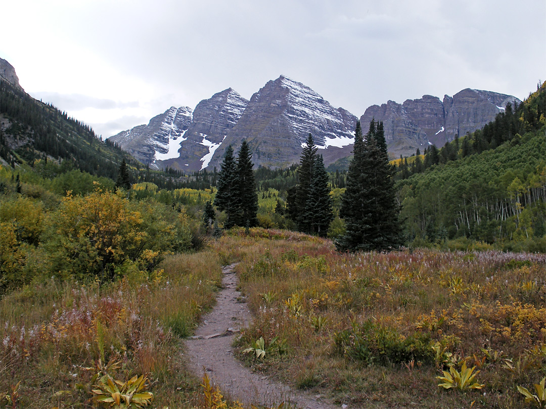 Scenic Loop Trail