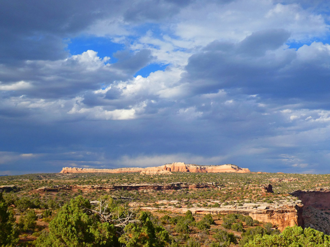 Canyon viewpoint