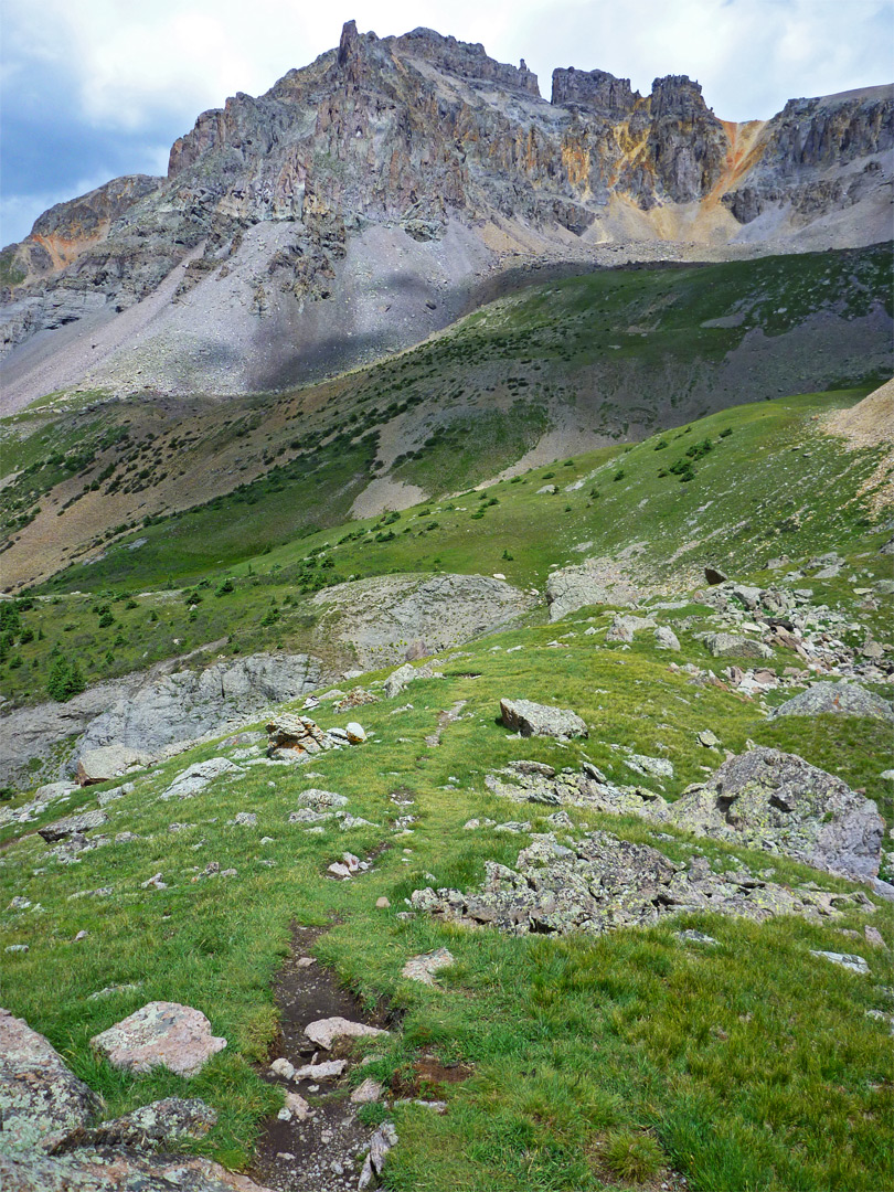 Grass and rocks