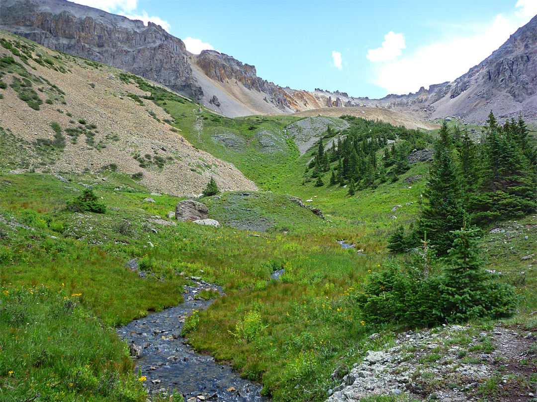 Stream in Mill Creek Basin