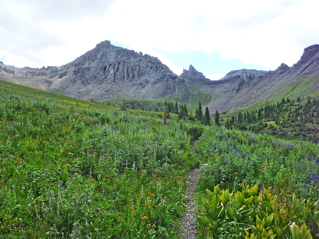 Path across a hillside