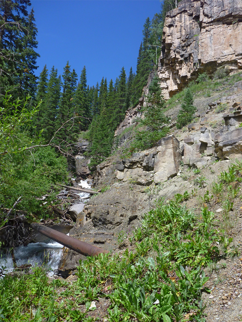 Cascade on Mill Creek