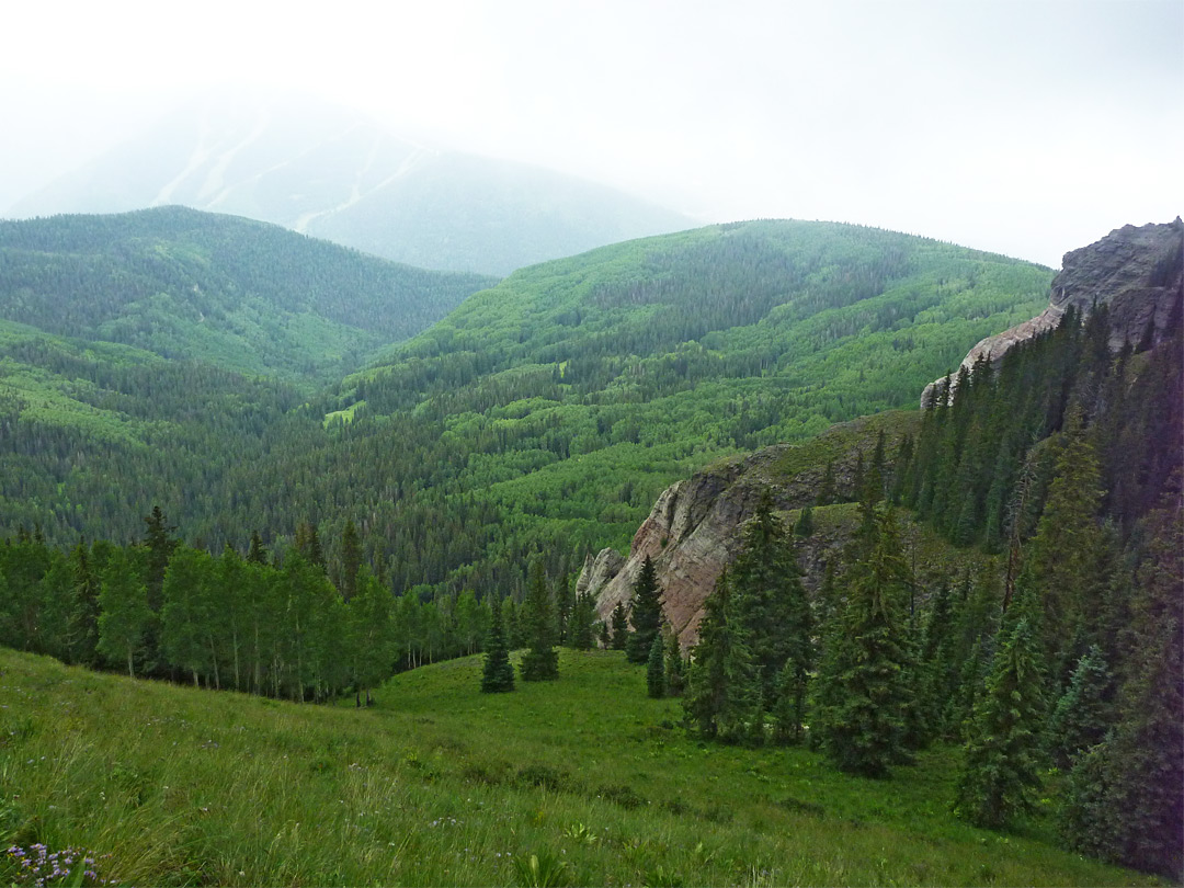 Hillside above Mill Creek