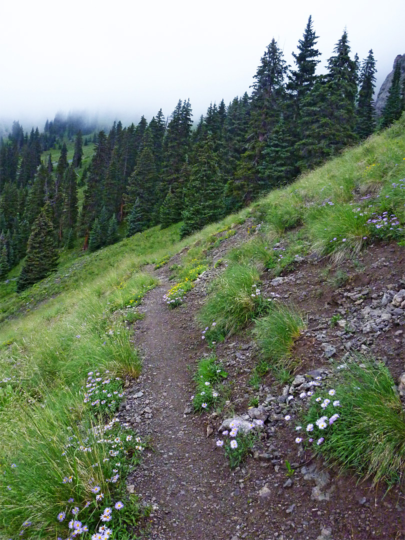 Path near Mill Creek