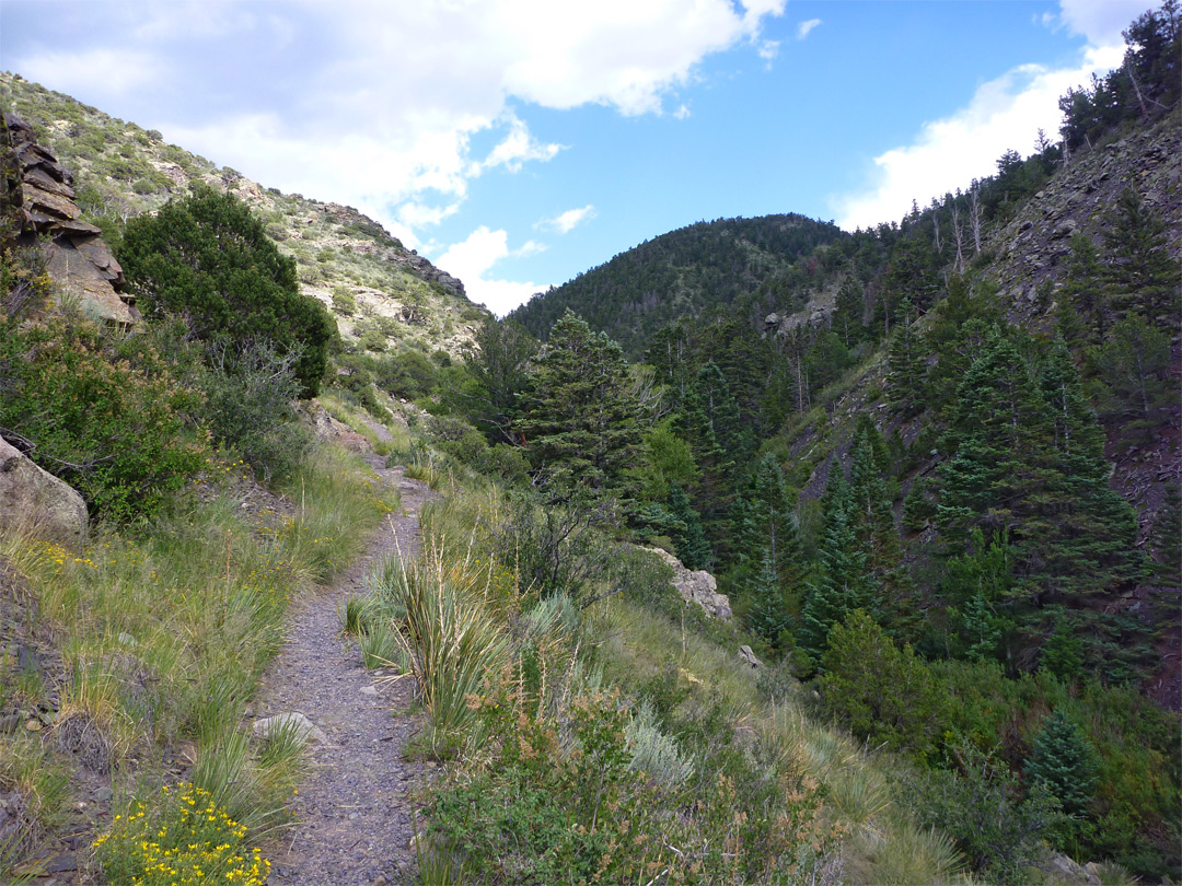 Path up the canyon