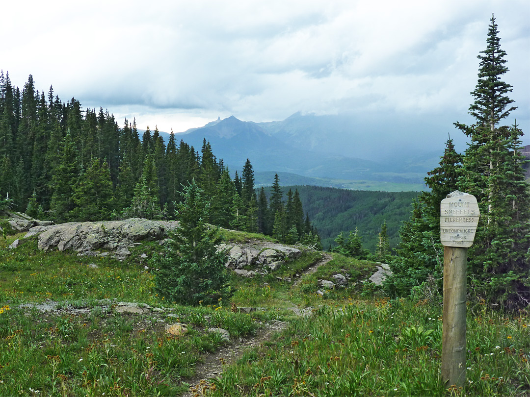 Wilderness sign