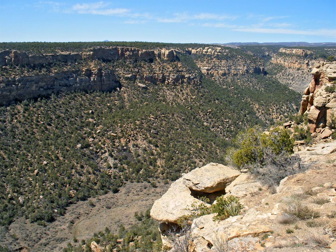 Navajo Canyon