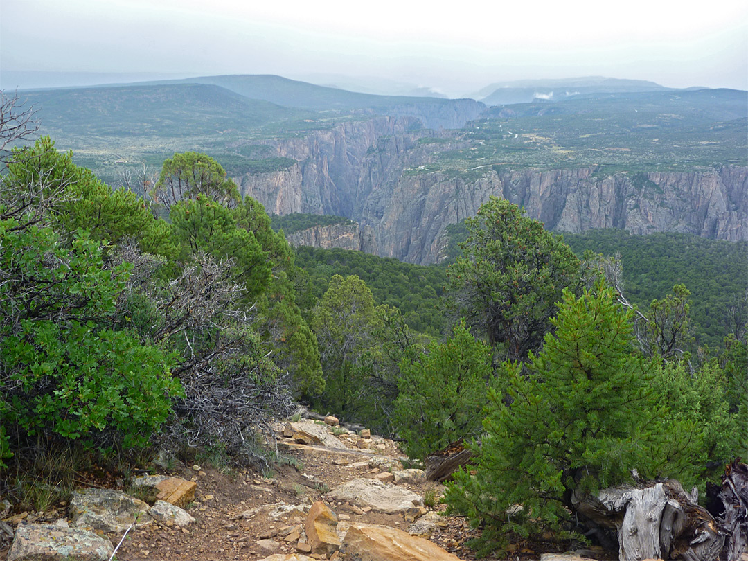 View along the North Vista Trail