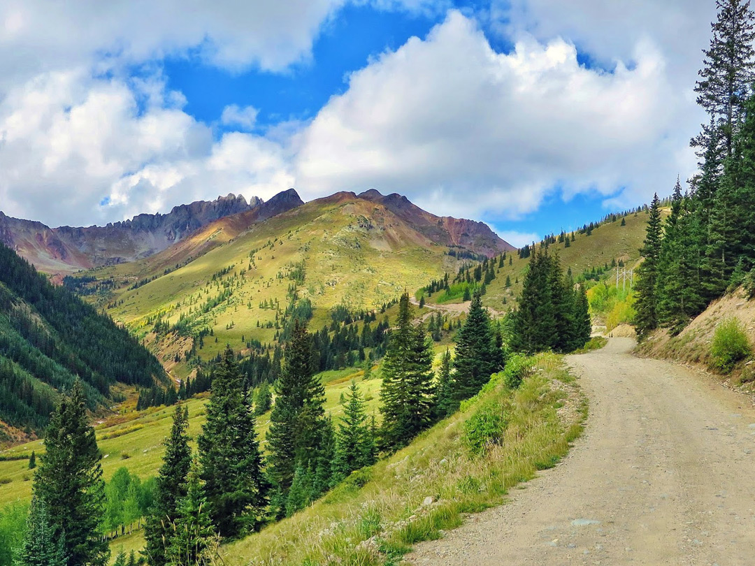 Ophir Pass Road