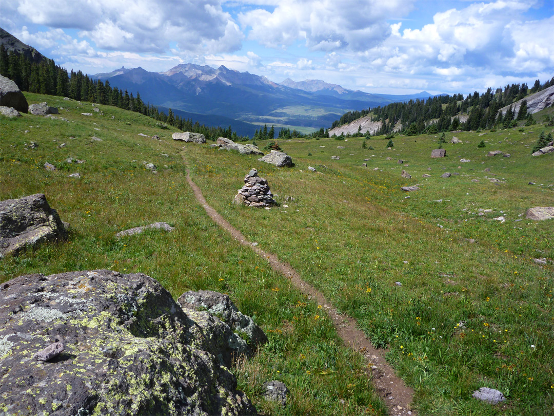 Middle of Pack Basin