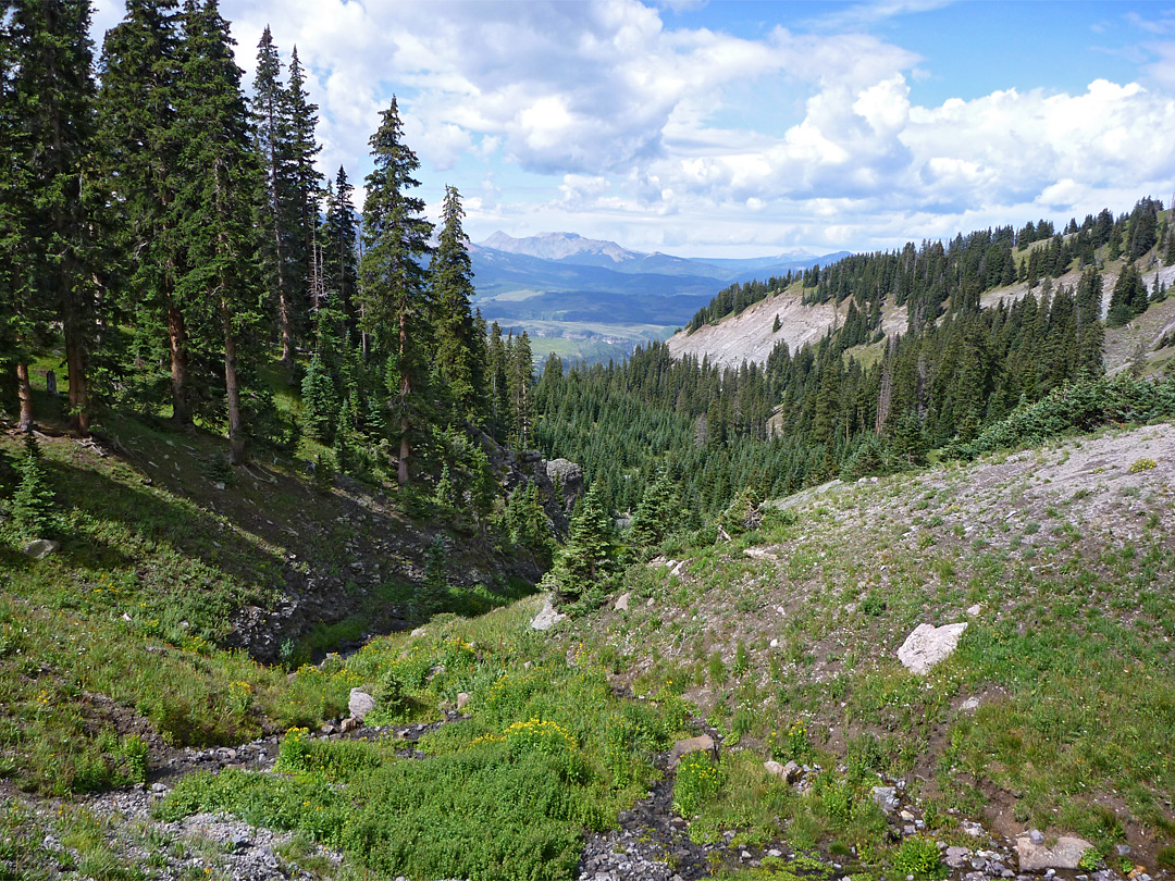 Edge of Pack Basin