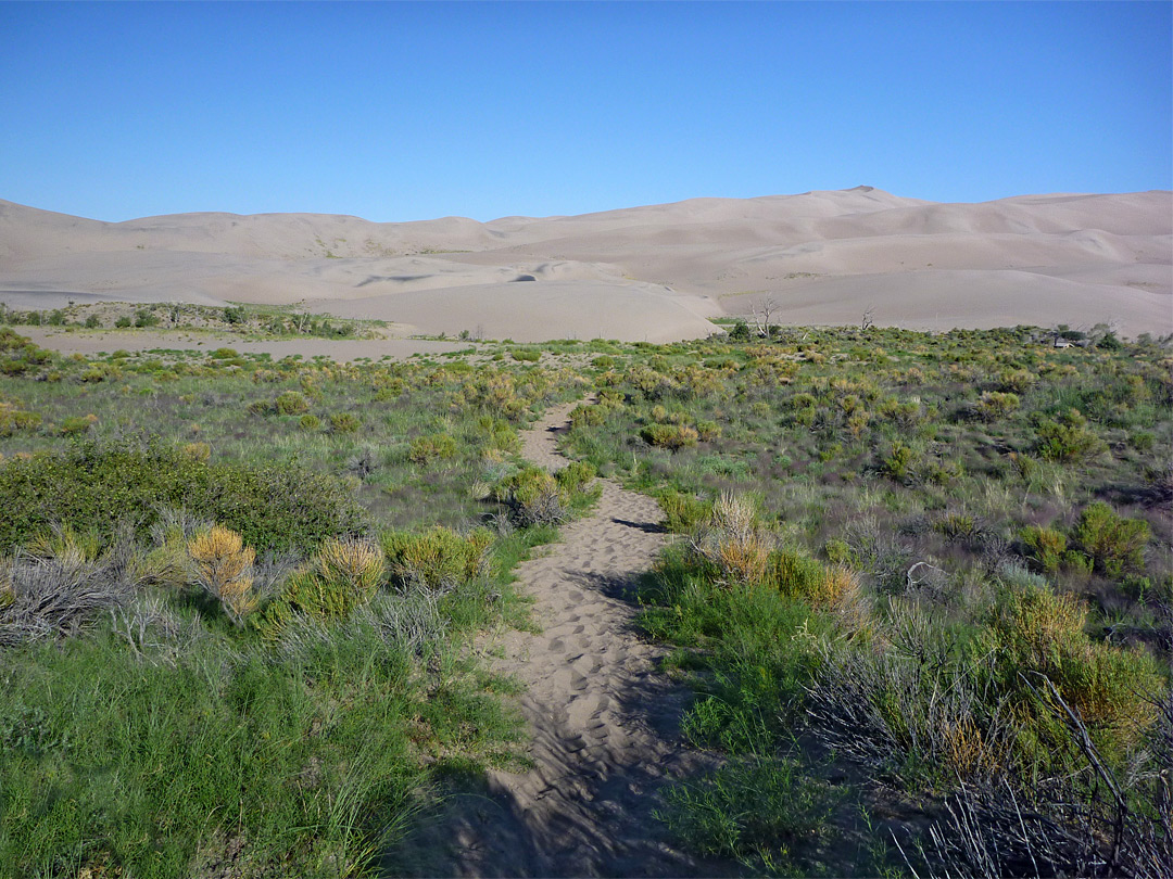 Sand Pit Trail