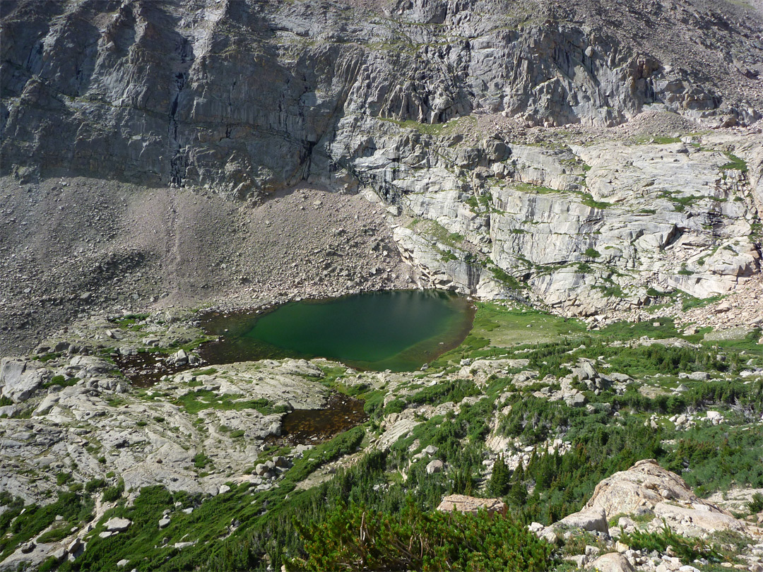 Peacock Pool