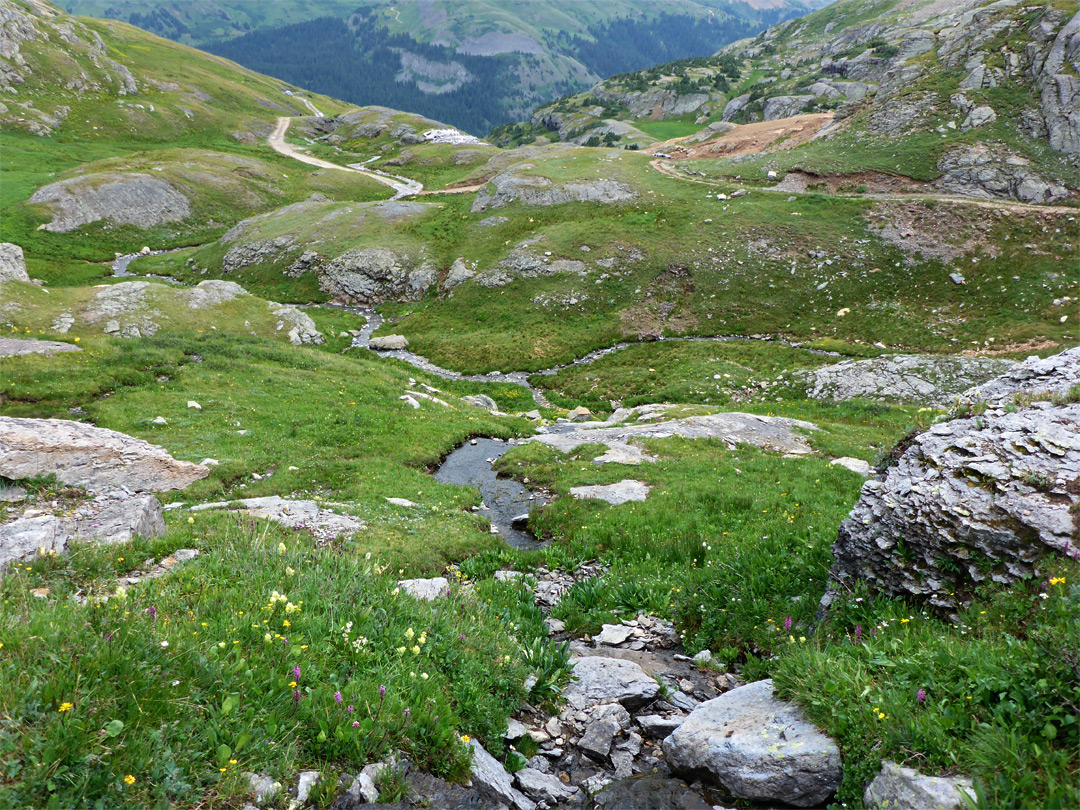 Grassy basin