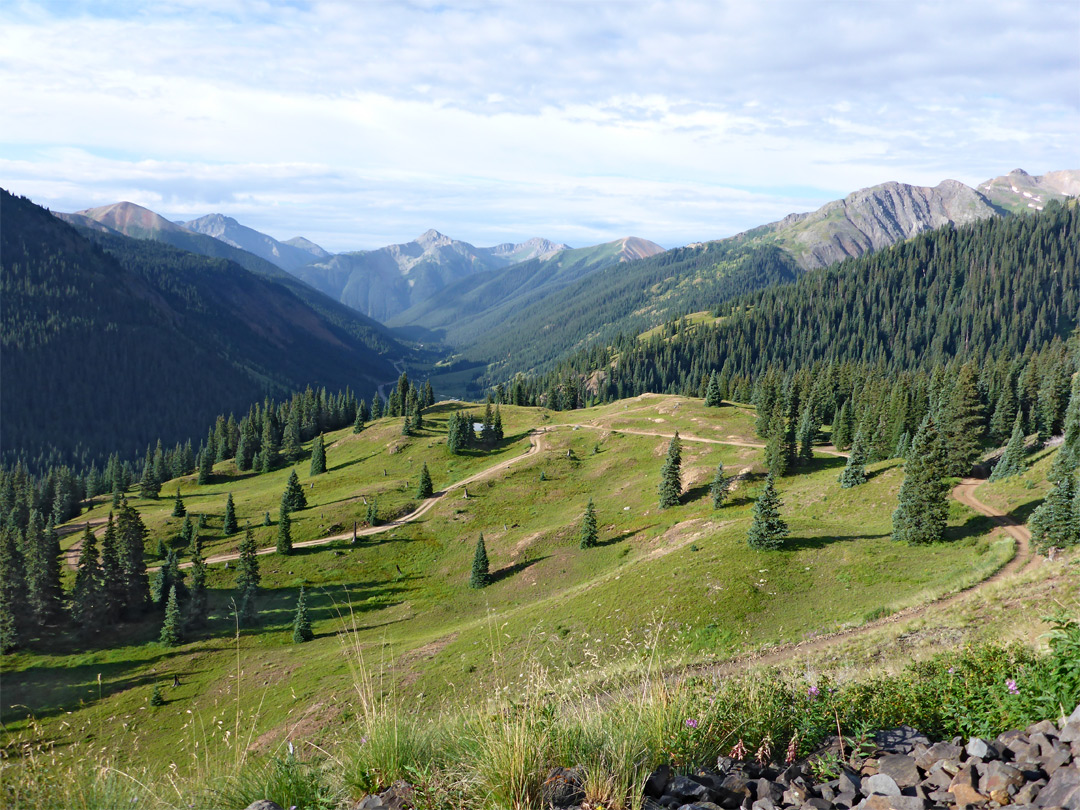 Grassy hillside