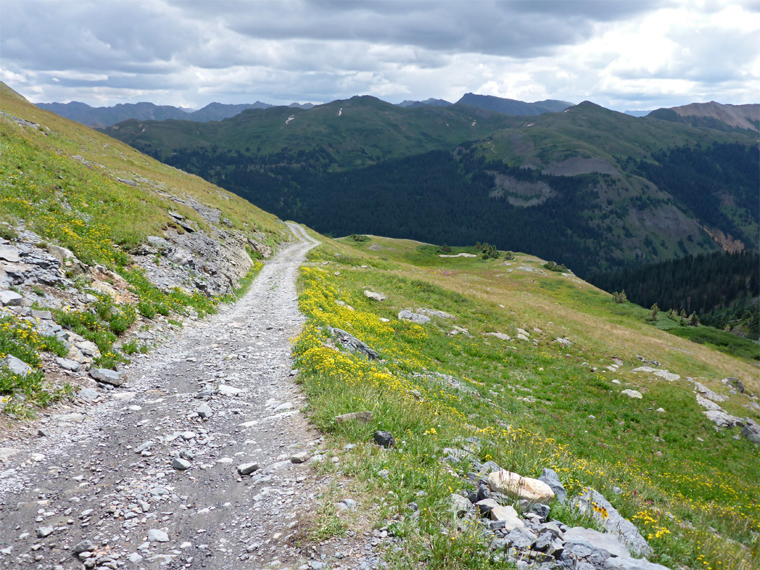 Stony track