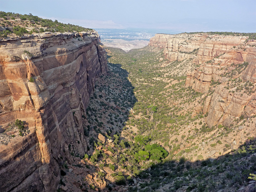 Red Canyon Overlook