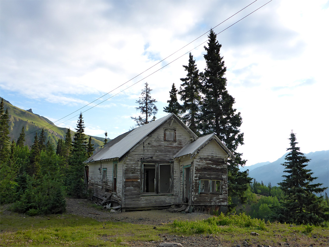 House and trees