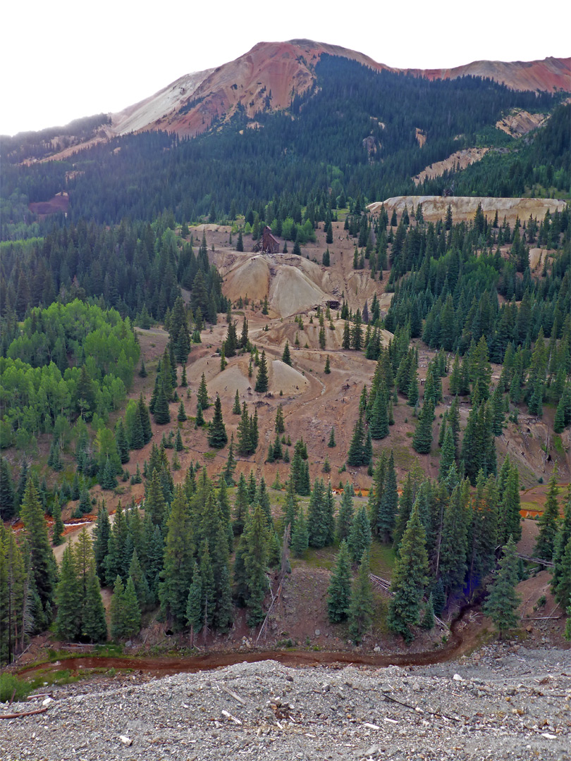 Trees and mine debris