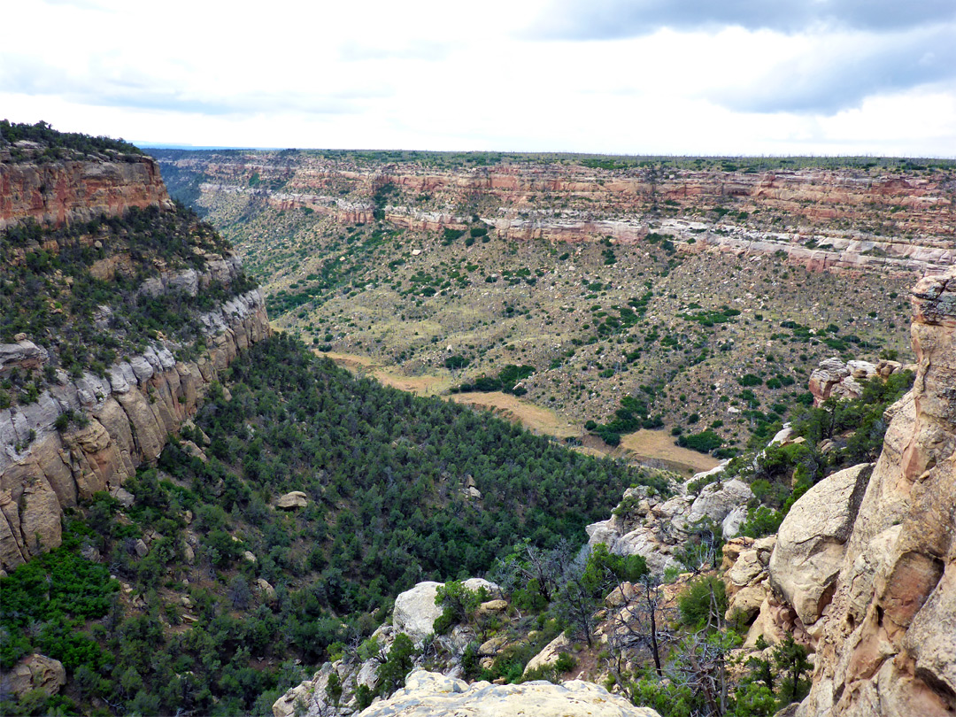 Rock Canyon