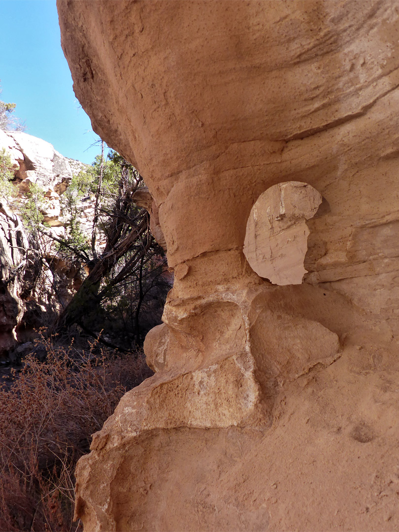 Minor arch