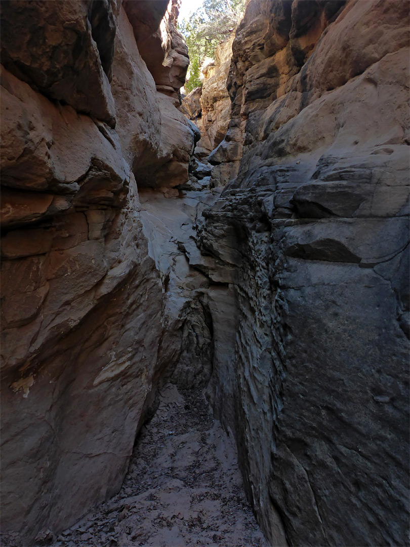 Upper end of the canyon