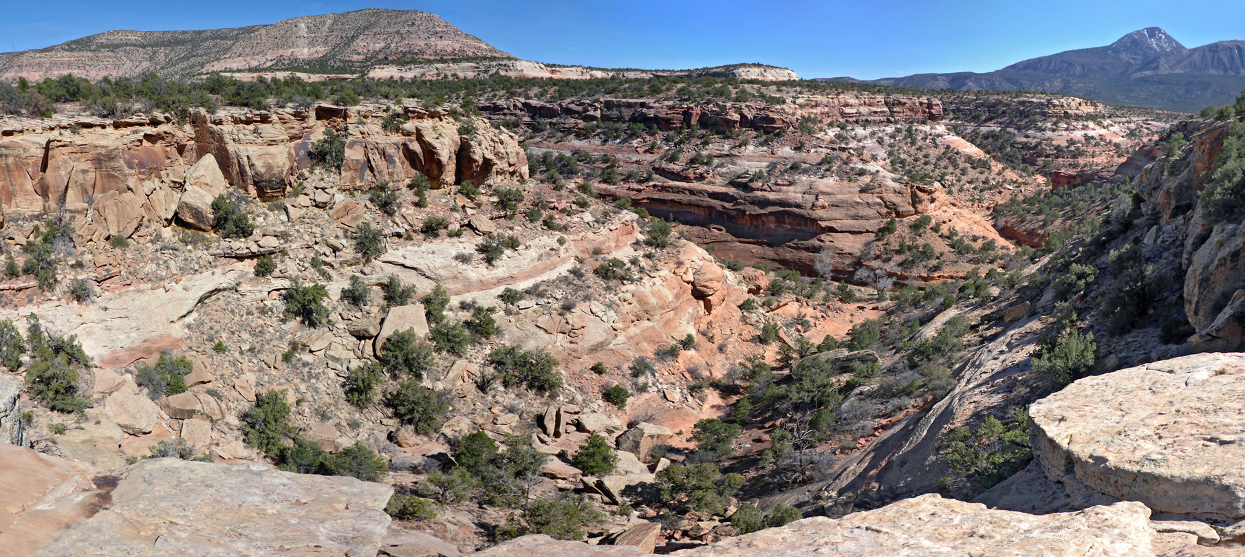 Junction along the canyon