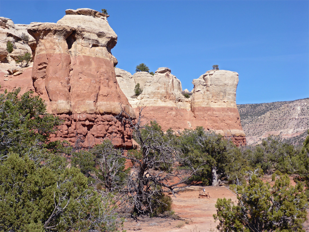 Pinnacles: Sand Canyon, Canyons of the Ancients National Monument, Colorado