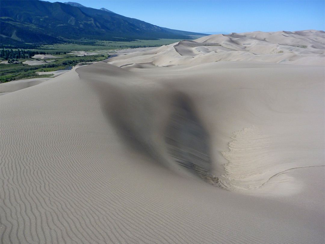 Hollow in the dunes