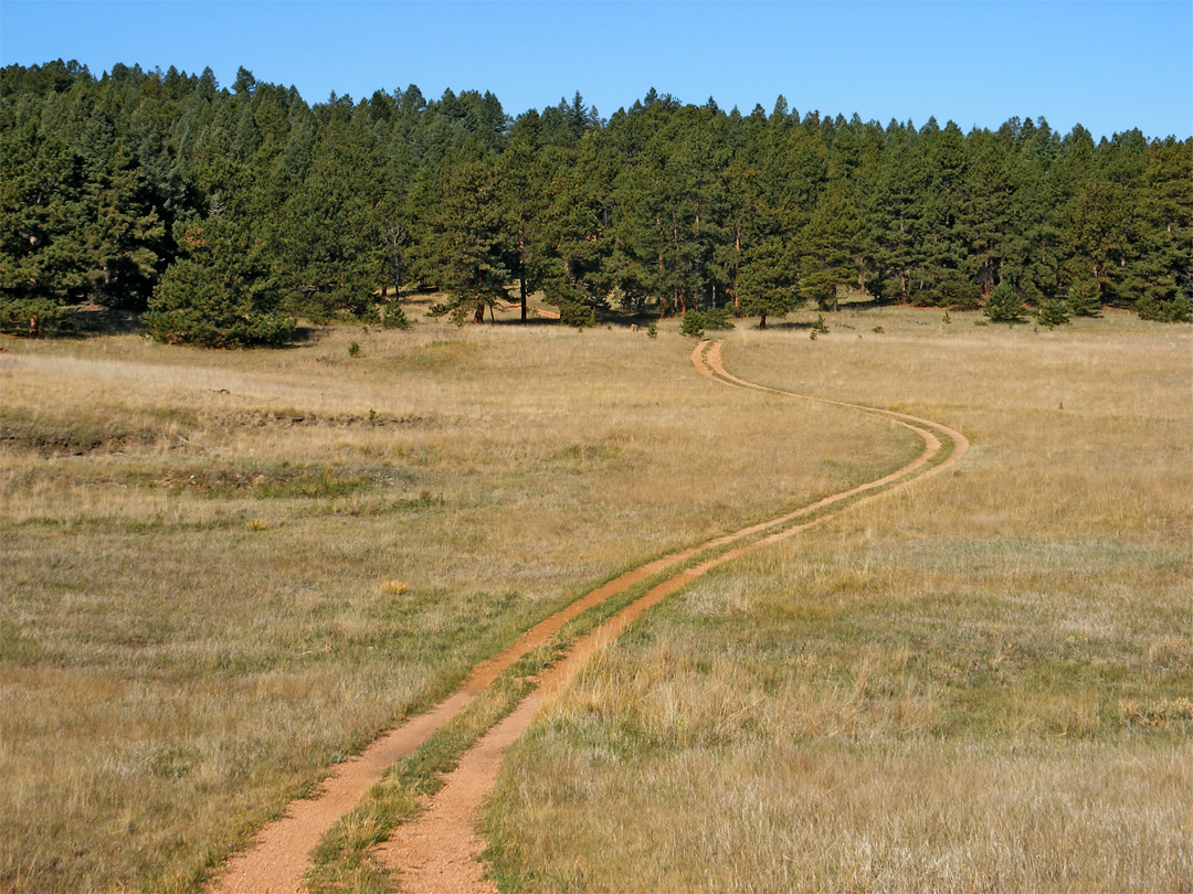 Sawmill Trail