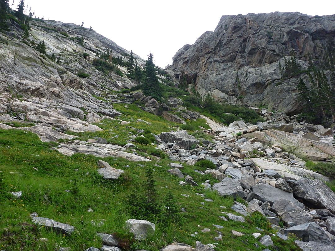 Grass and granite