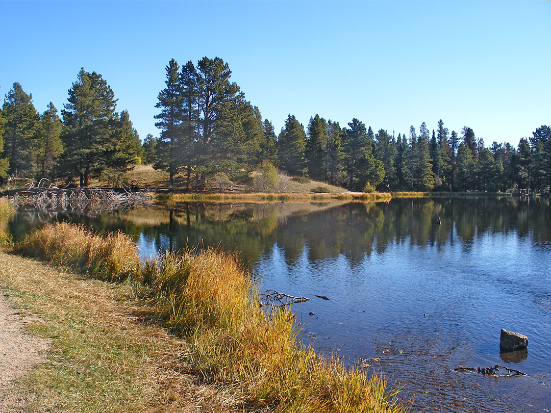 Edge of Sprague Lake