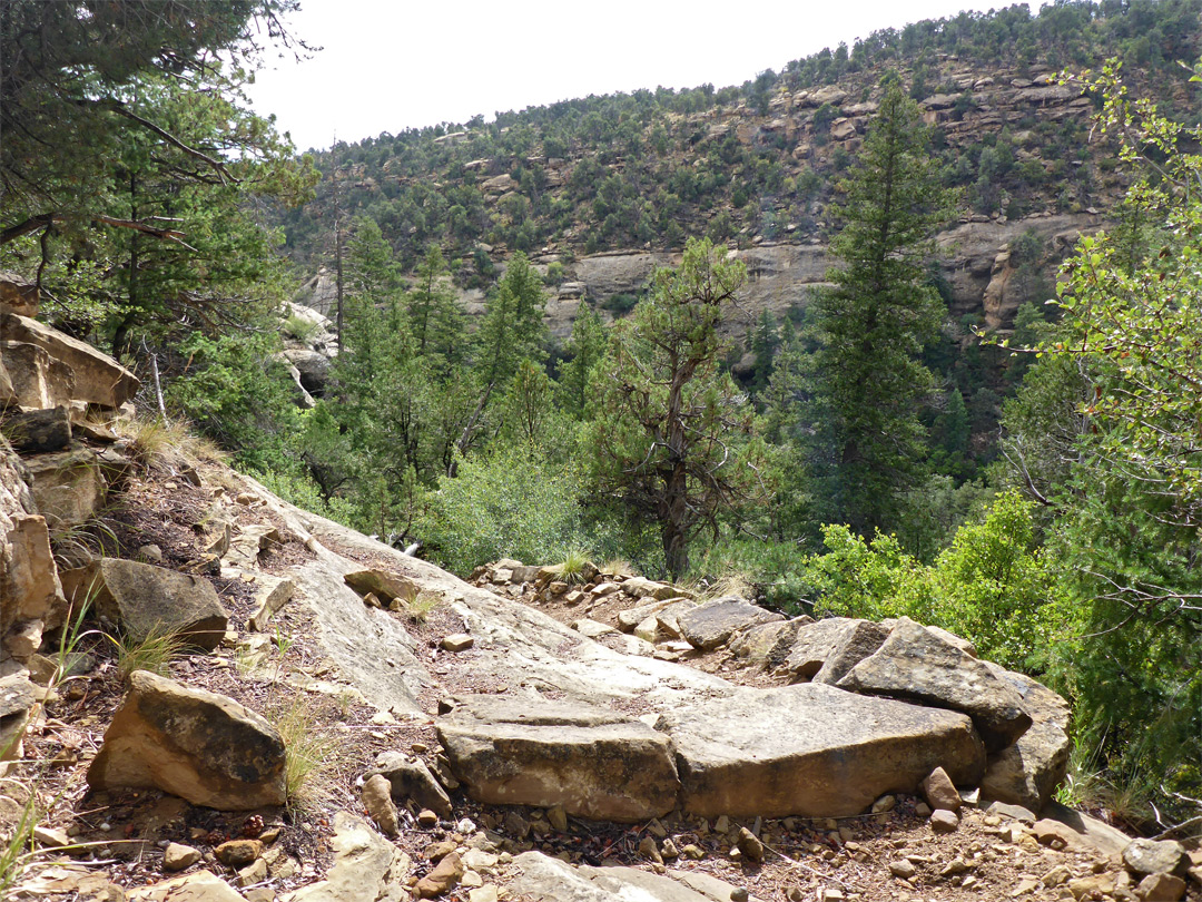 Rocky outcrop