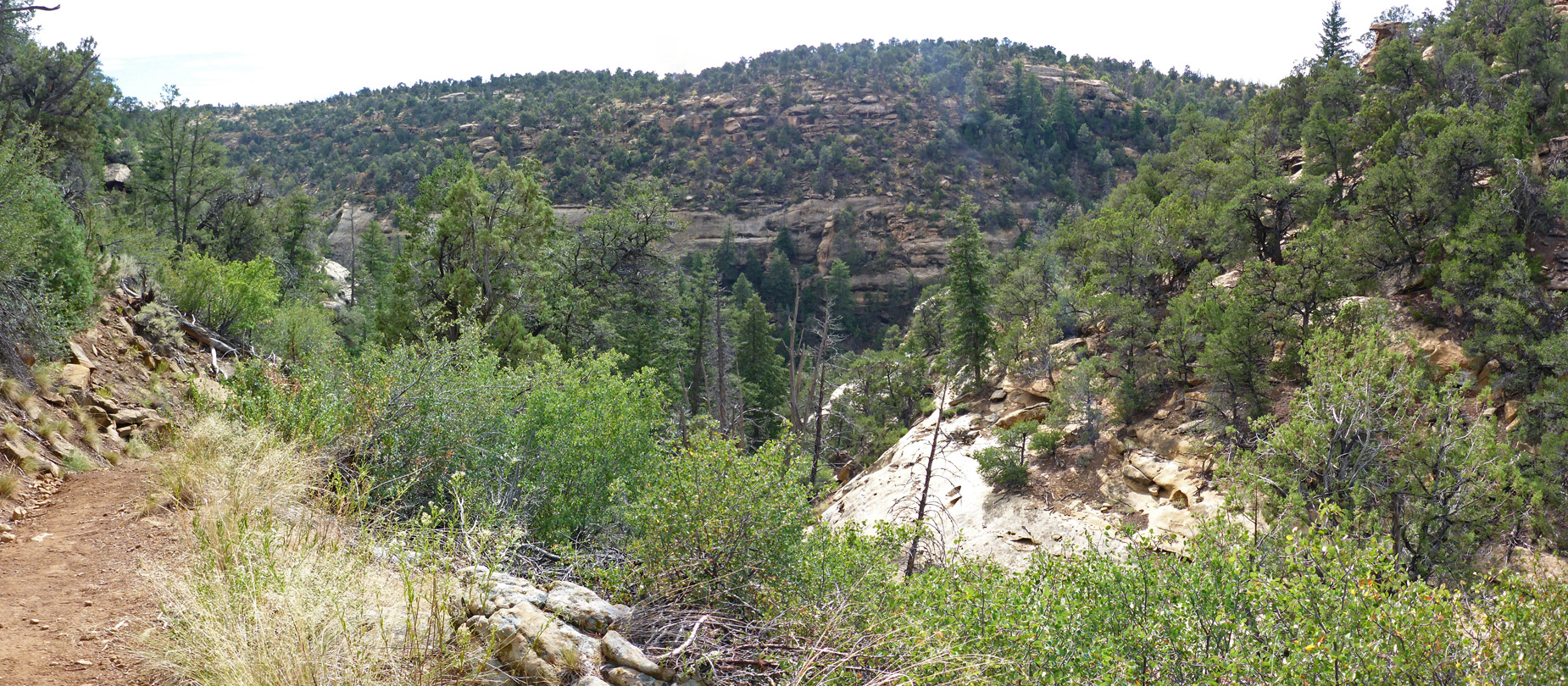 Path along a tributary