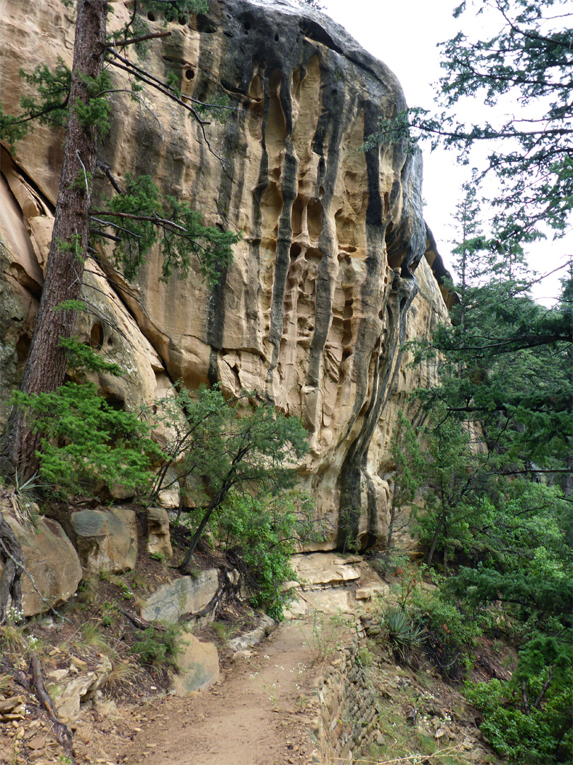 Textured cliffs