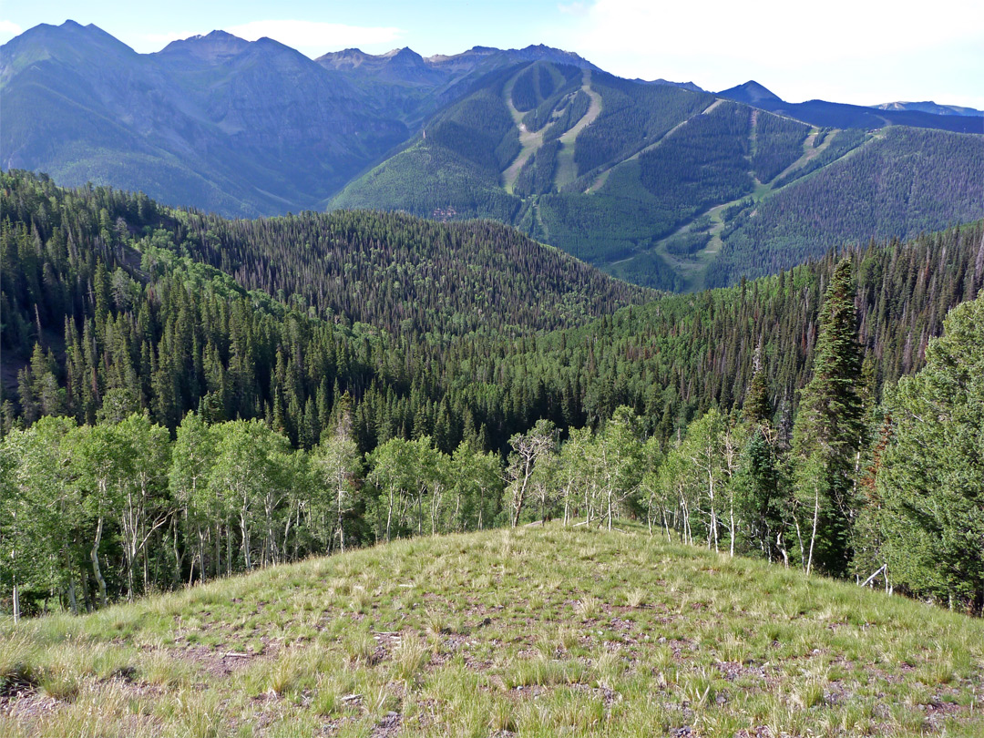 Open hillside