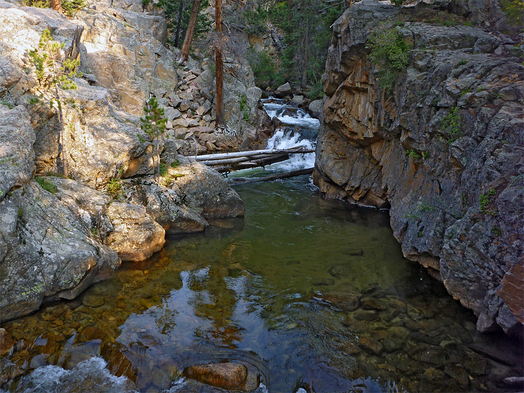 The Pool