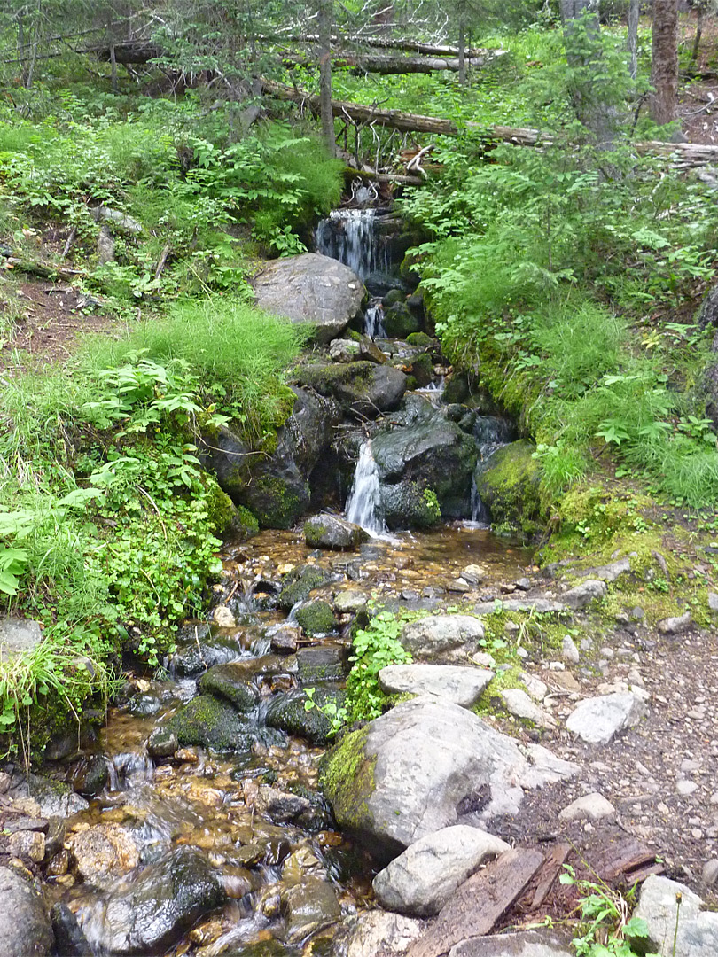 Tributary stream