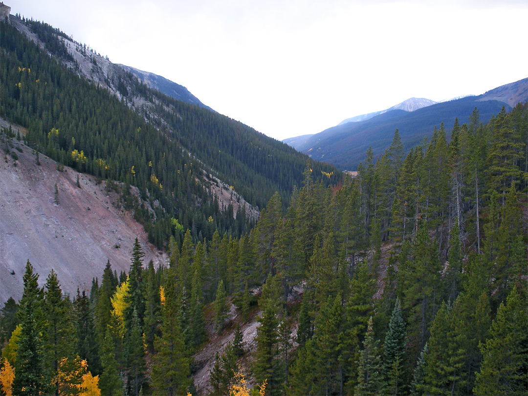 View on the Yellowstone Trail