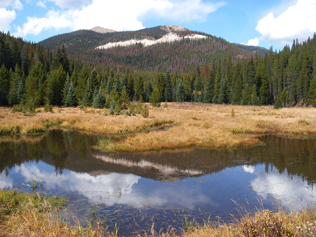 Reflections on the river