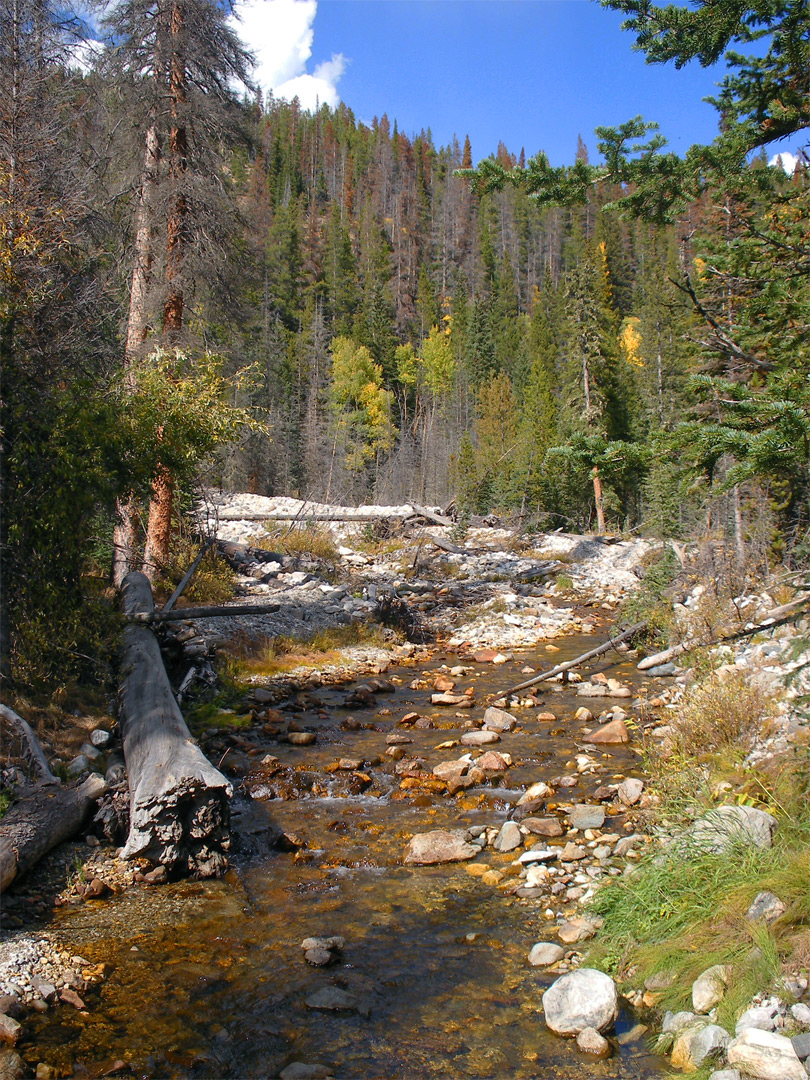 Lulu City Colorado River Trail  Rocky Mountain National Park  Colorado