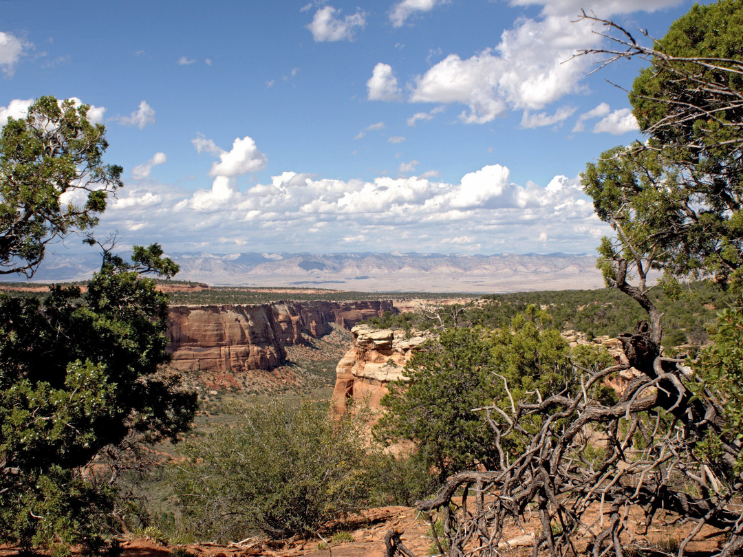 Rim of Ute Canyon