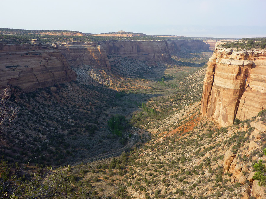 Ute Canyon View