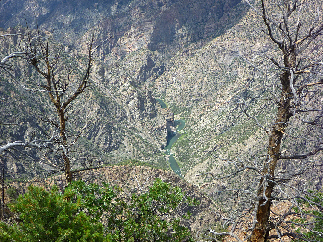 The river, below Warner Point