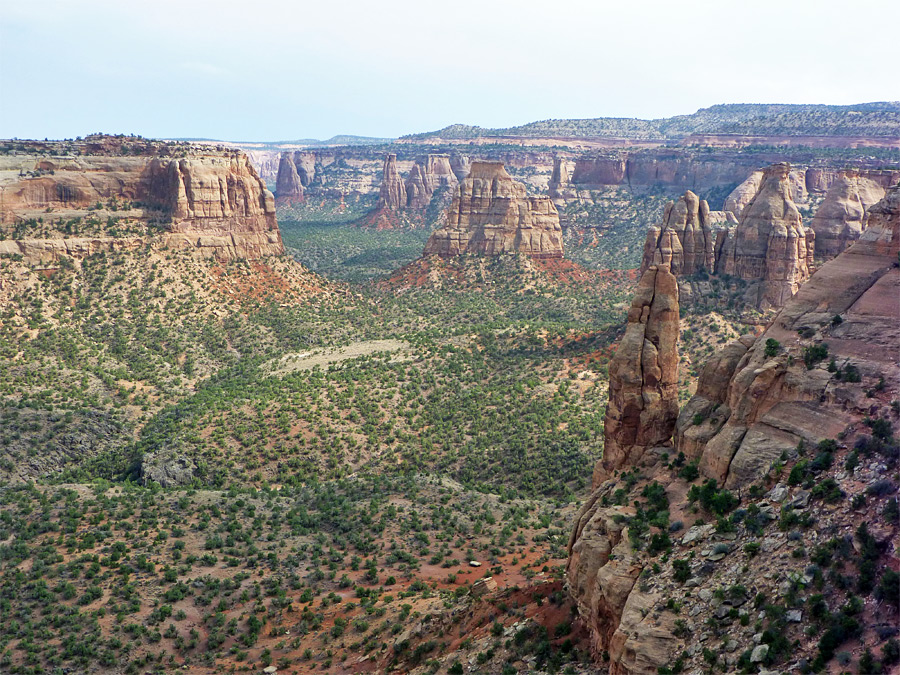 Canyon south of Window Rock