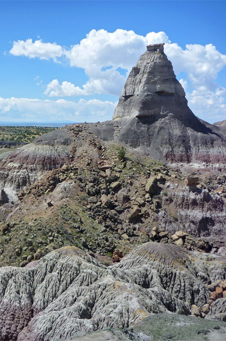 Ceja Pelon Mesa, New Mexico