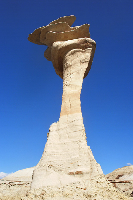 Bisti Wilderness