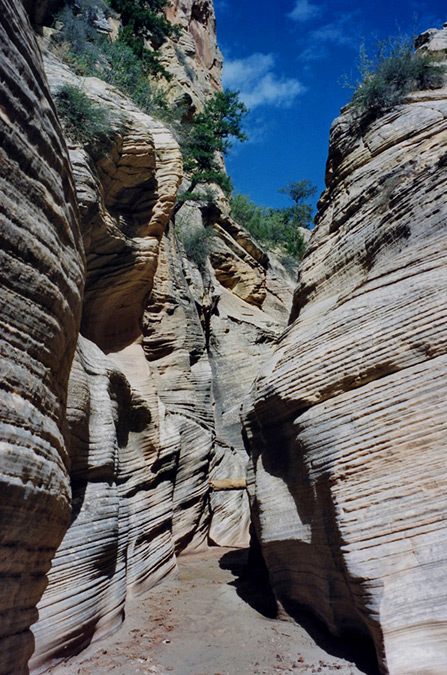 Bull Valley Gorge