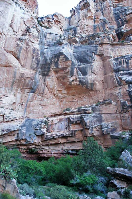 Dripping Spring Trail