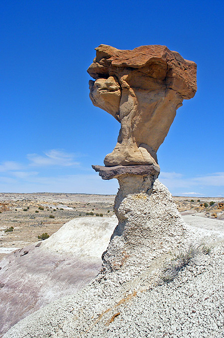 De-Na-Zin Wilderness, New Mexico